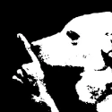 Avatar de FORTINEROCAVS