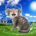 Avatar de zCxmilo_o