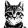 Avatar de mxurk0