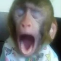 Avatar de tthiagoj
