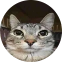Avatar de Cota8482