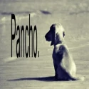 Avatar de facufariasss