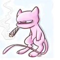 Avatar de pajaro420